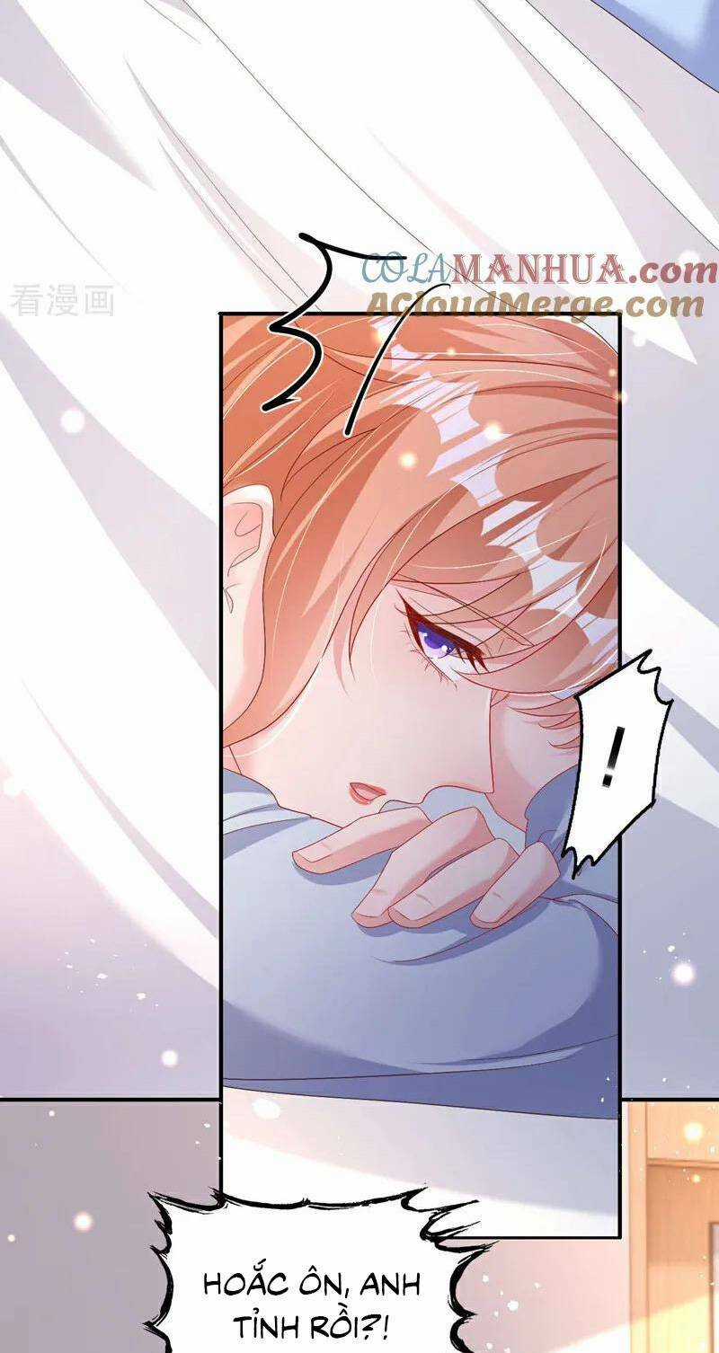 Hôm Nay Từ Chối Lục Tiên Sinh Chưa? Chapter 194 trang 17