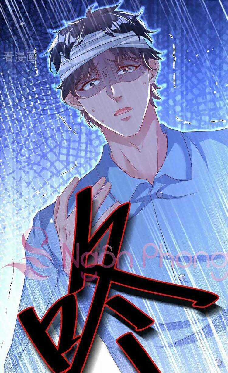 Hôm Nay Từ Chối Lục Tiên Sinh Chưa? Chapter 195 trang 2