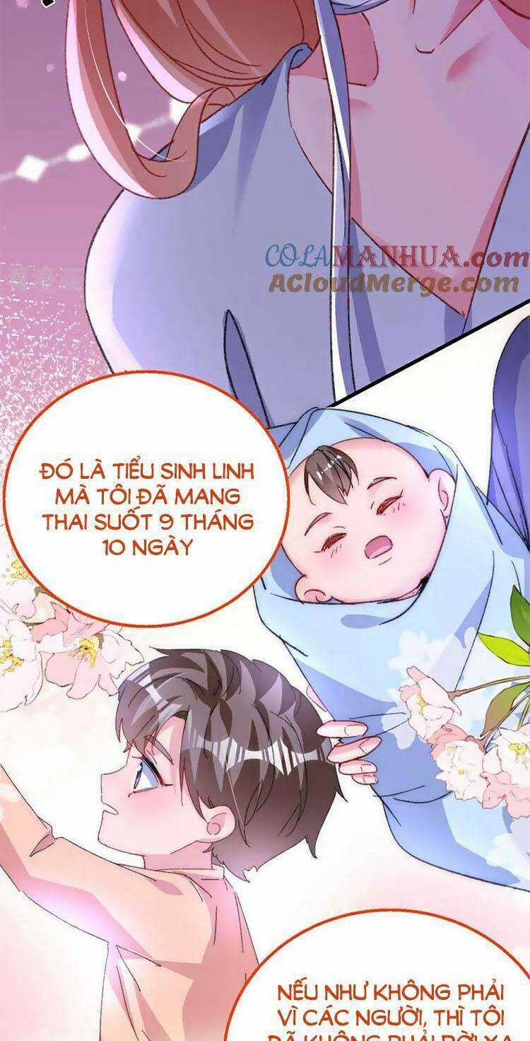 Hôm Nay Từ Chối Lục Tiên Sinh Chưa? Chapter 195 trang 28