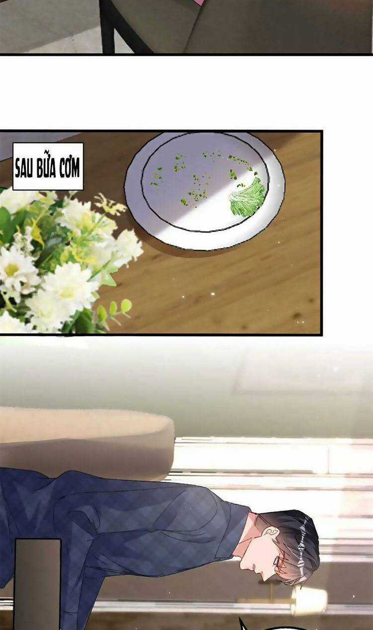 Hôm Nay Từ Chối Lục Tiên Sinh Chưa? Chapter 198 trang 10