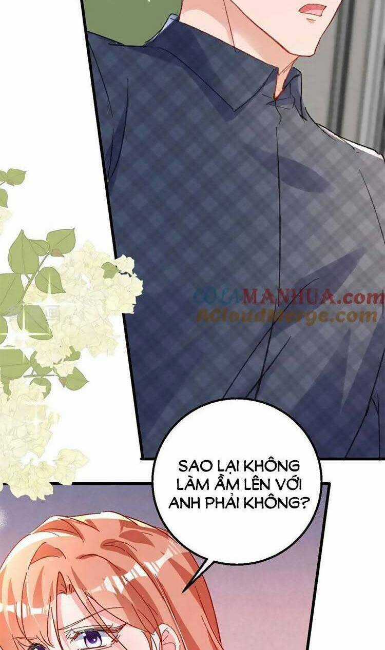 Hôm Nay Từ Chối Lục Tiên Sinh Chưa? Chapter 198 trang 14