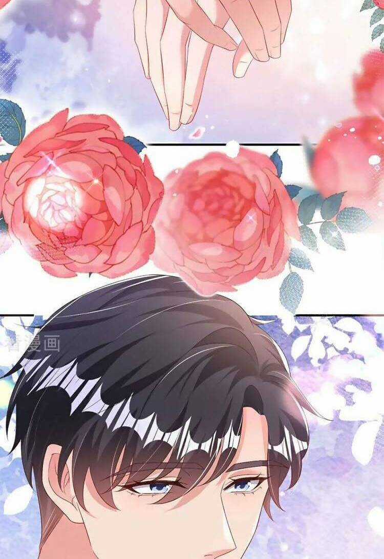 Hôm Nay Từ Chối Lục Tiên Sinh Chưa? Chapter 199 trang 4