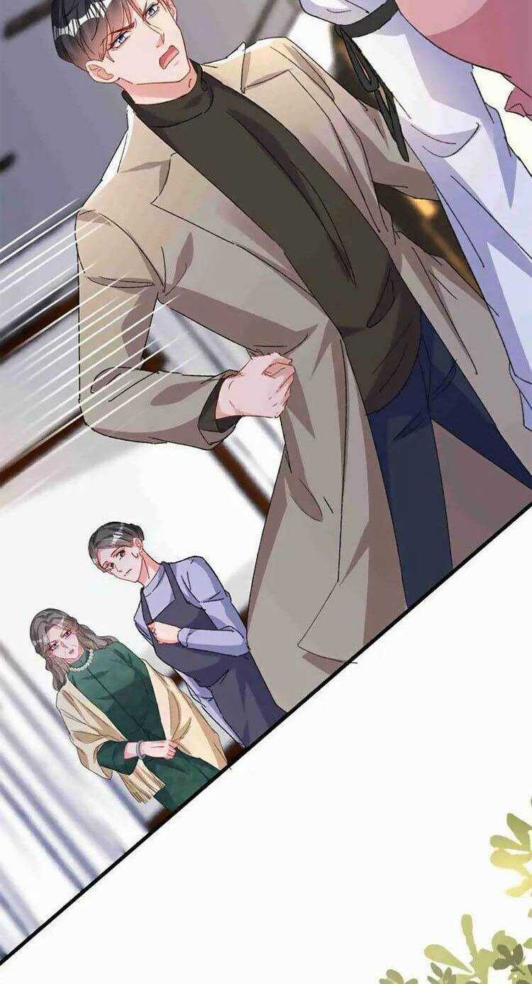 Hôm Nay Từ Chối Lục Tiên Sinh Chưa? Chapter 203 trang 14