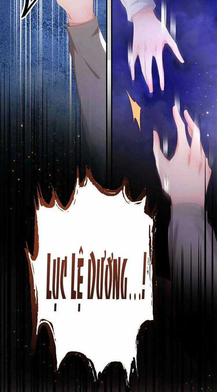 Hôm Nay Từ Chối Lục Tiên Sinh Chưa? Chapter 204 trang 8