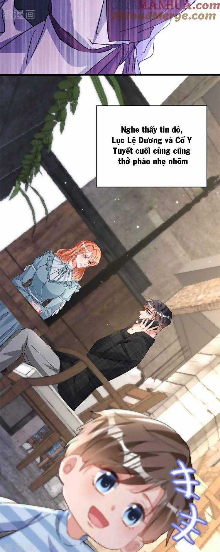 Hôm Nay Từ Chối Lục Tiên Sinh Chưa? Chapter 205 trang 13