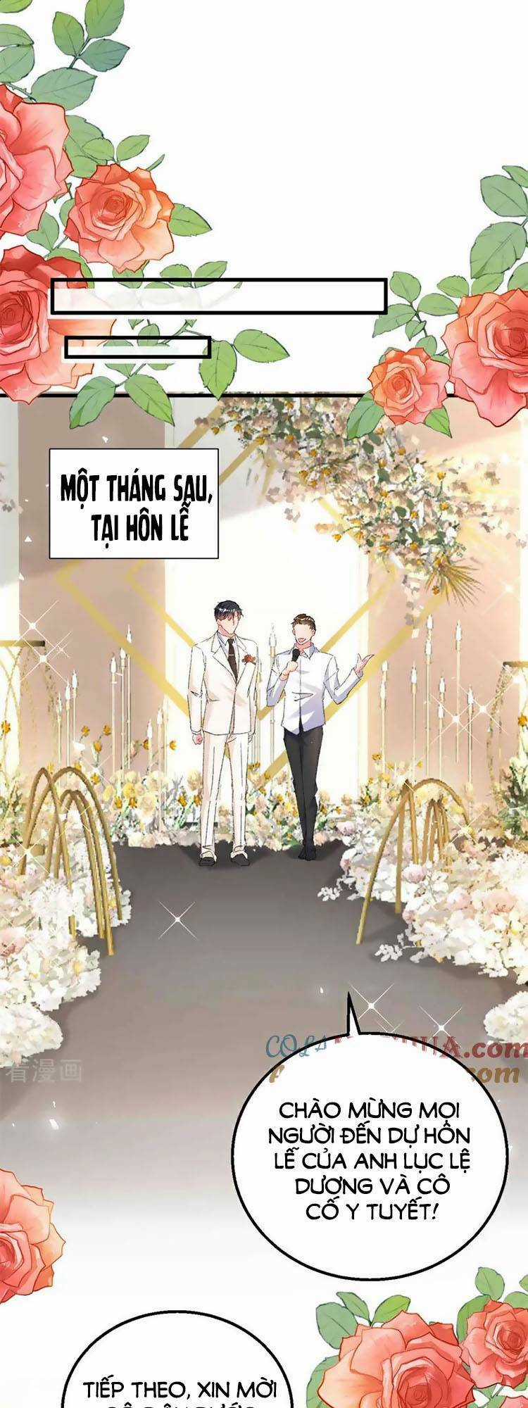 Hôm Nay Từ Chối Lục Tiên Sinh Chưa? Chapter 205 trang 20