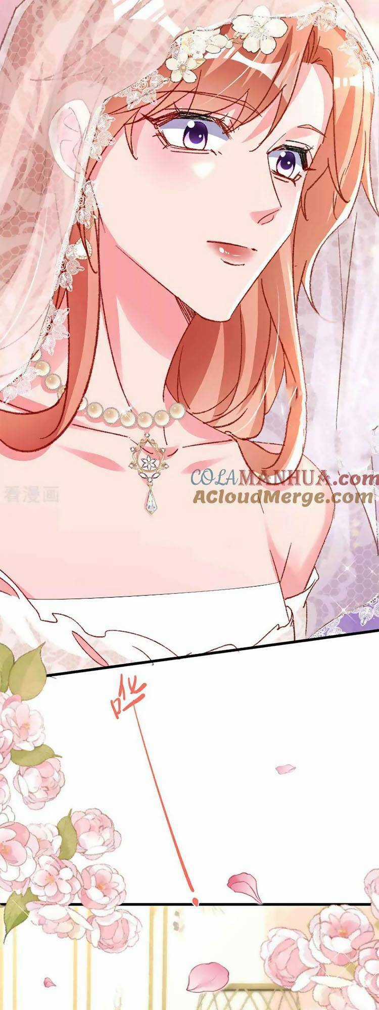 Hôm Nay Từ Chối Lục Tiên Sinh Chưa? Chapter 205 trang 23