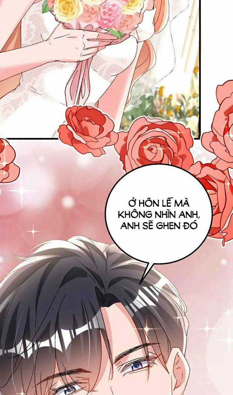 Hôm Nay Từ Chối Lục Tiên Sinh Chưa? Chapter 205 trang 28