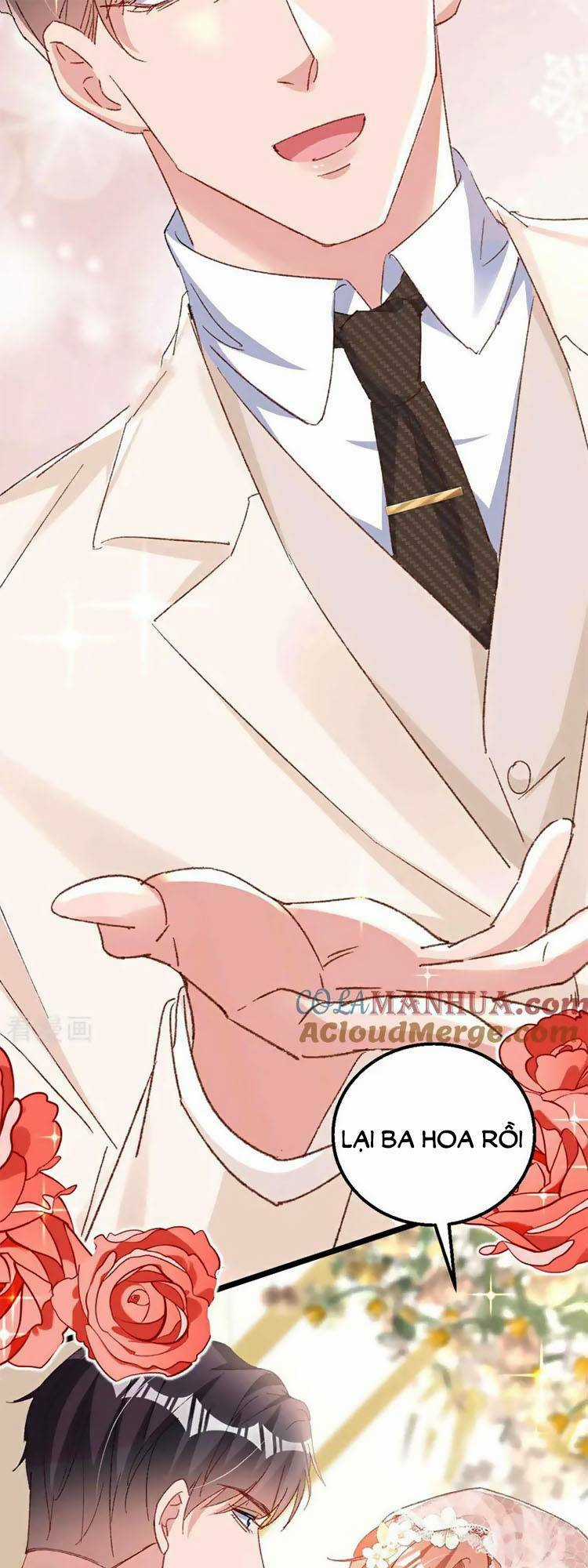 Hôm Nay Từ Chối Lục Tiên Sinh Chưa? Chapter 205 trang 29