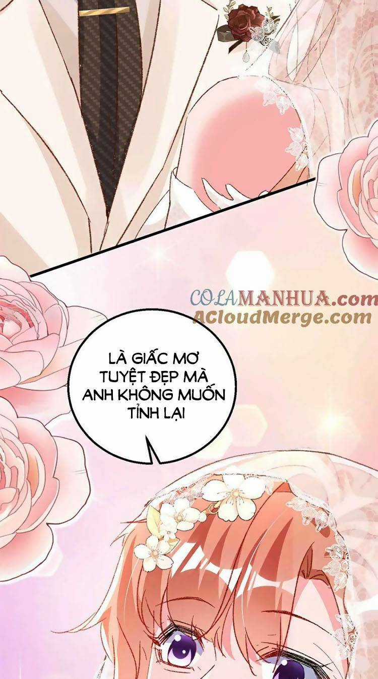 Hôm Nay Từ Chối Lục Tiên Sinh Chưa? Chapter 205 trang 32