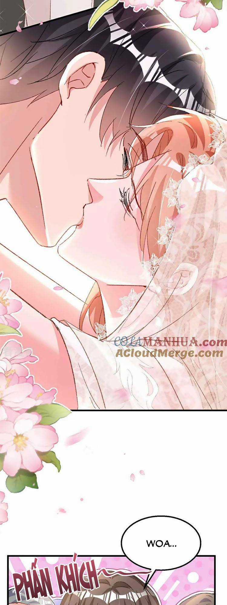 Hôm Nay Từ Chối Lục Tiên Sinh Chưa? Chapter 205 trang 35