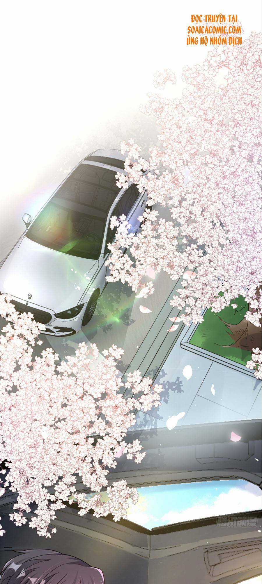 Hôm Nay Từ Chối Lục Tiên Sinh Chưa? Chapter 27 trang 13