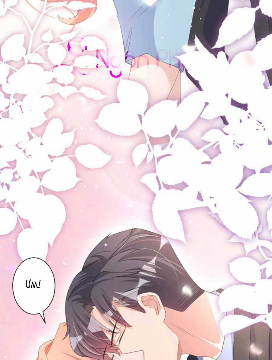 Hôm Nay Từ Chối Lục Tiên Sinh Chưa? Chapter 29 trang 16