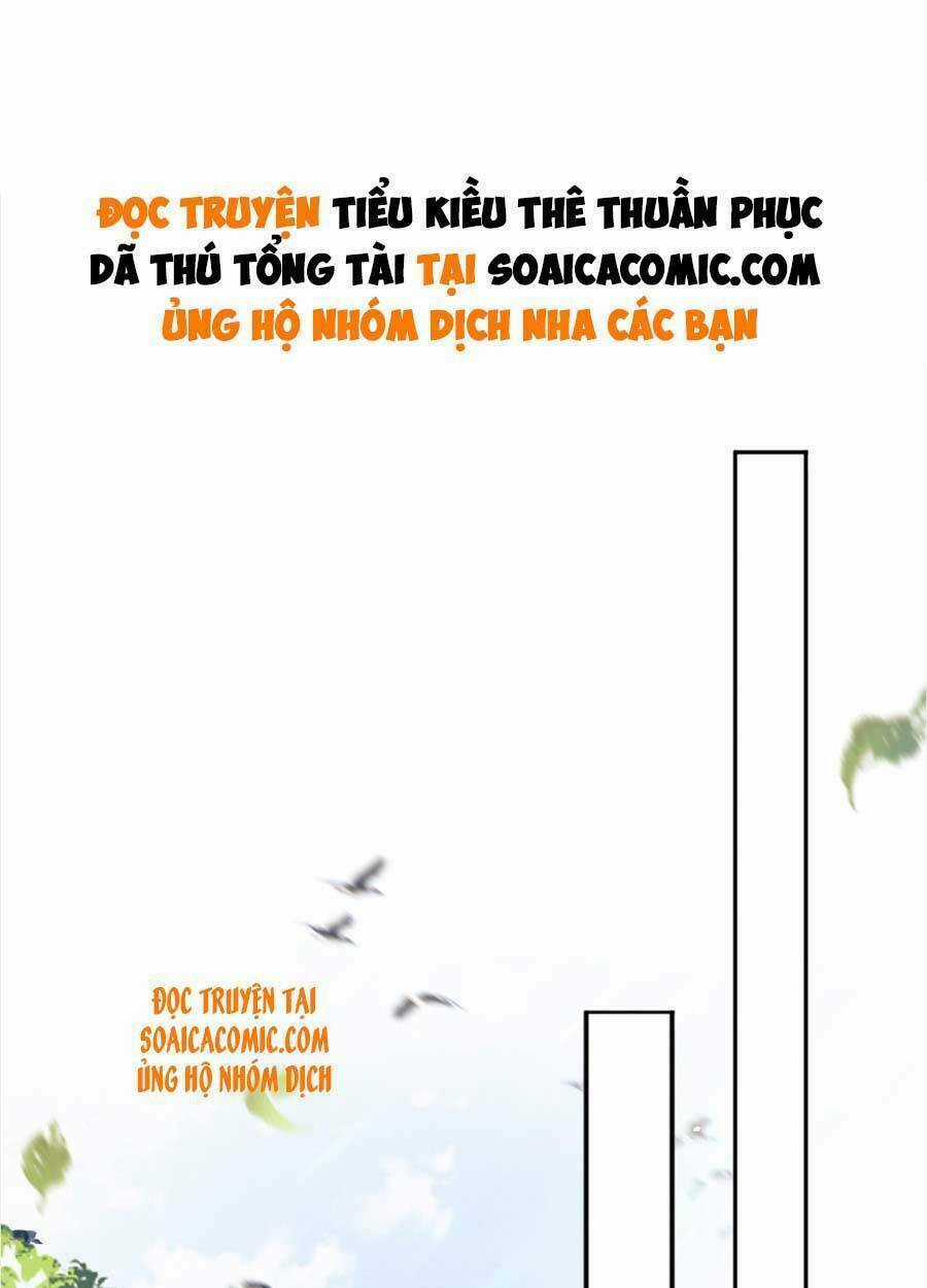 Hôm Nay Từ Chối Lục Tiên Sinh Chưa? Chapter 31 trang 1