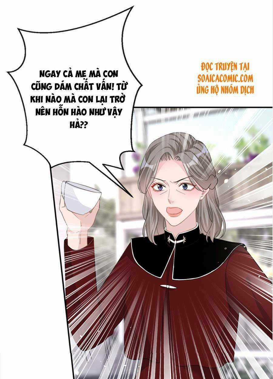 Hôm Nay Từ Chối Lục Tiên Sinh Chưa? Chapter 31 trang 50