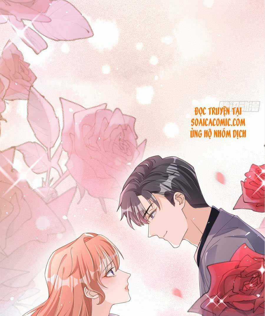 Hôm Nay Từ Chối Lục Tiên Sinh Chưa? Chapter 33 trang 31