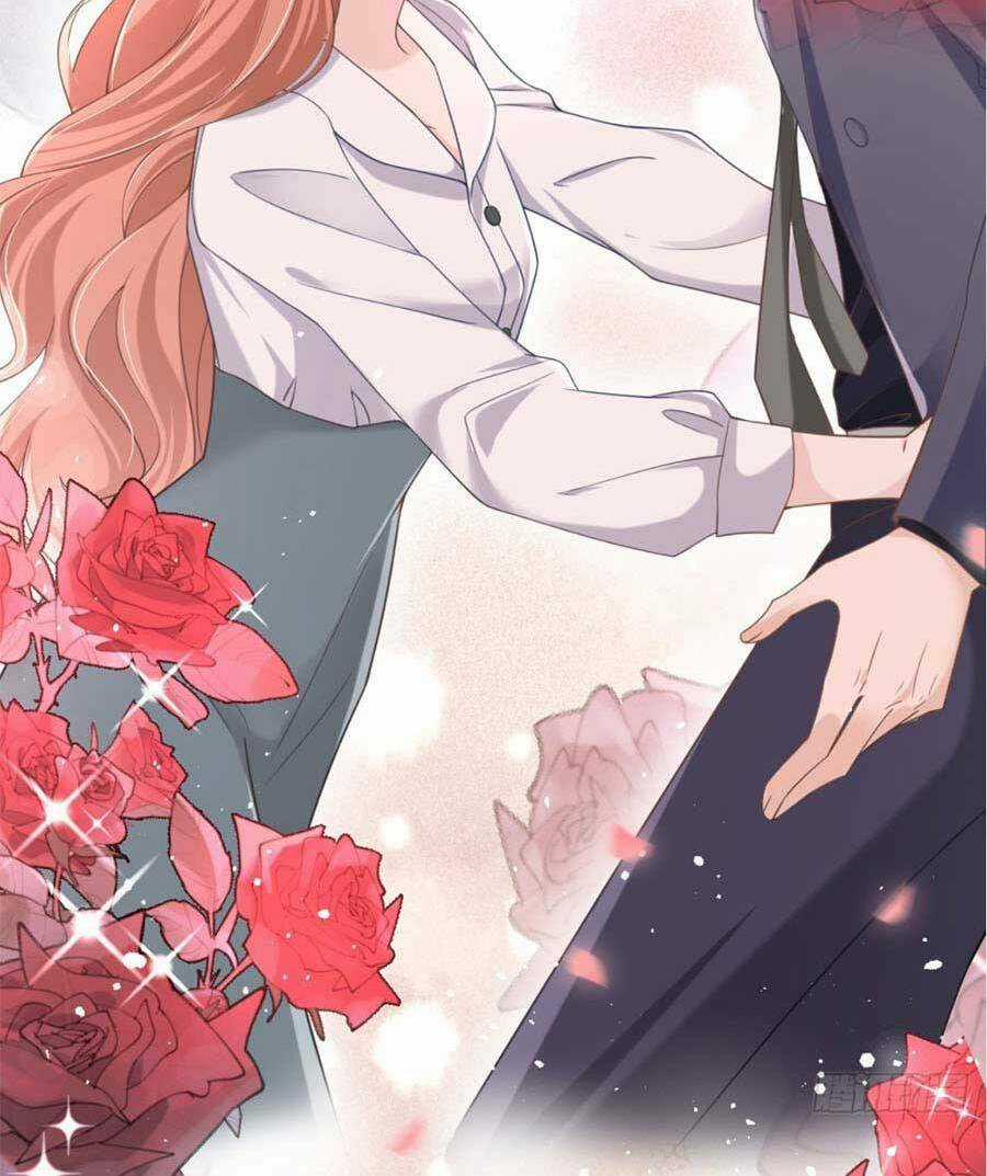 Hôm Nay Từ Chối Lục Tiên Sinh Chưa? Chapter 33 trang 32