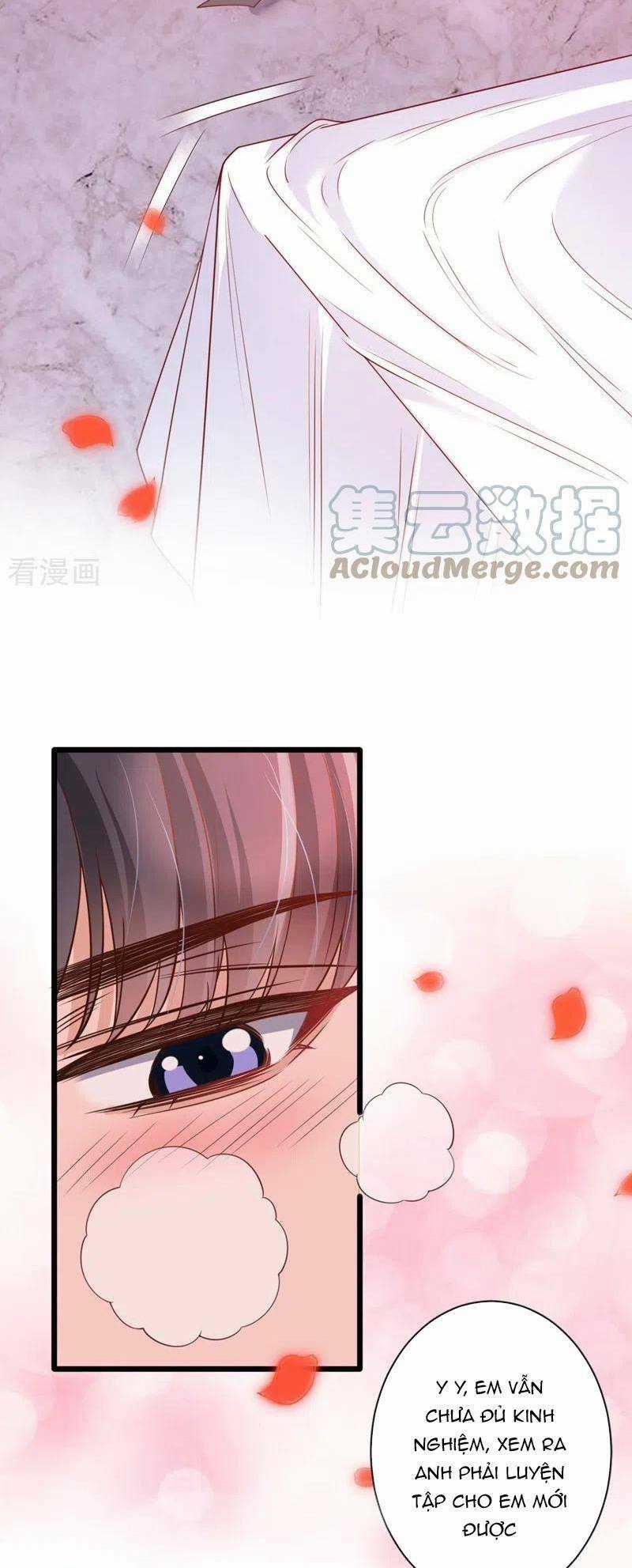 Hôm Nay Từ Chối Lục Tiên Sinh Chưa? Chapter 36 trang 12