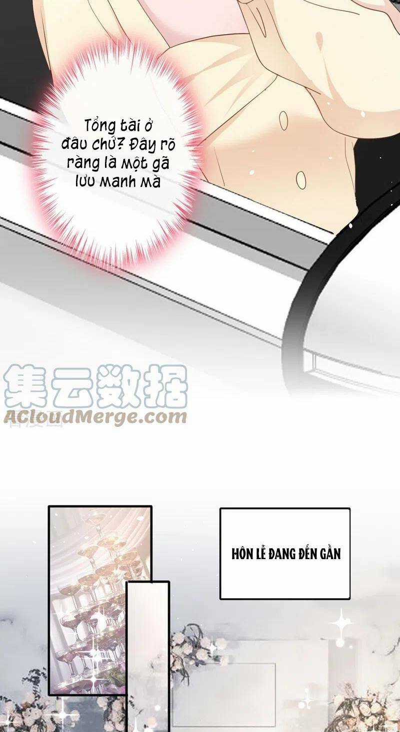 Hôm Nay Từ Chối Lục Tiên Sinh Chưa? Chapter 39 trang 16