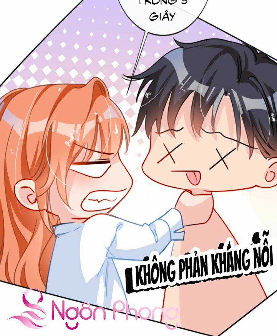 Hôm Nay Từ Chối Lục Tiên Sinh Chưa? Chapter 4 trang 3