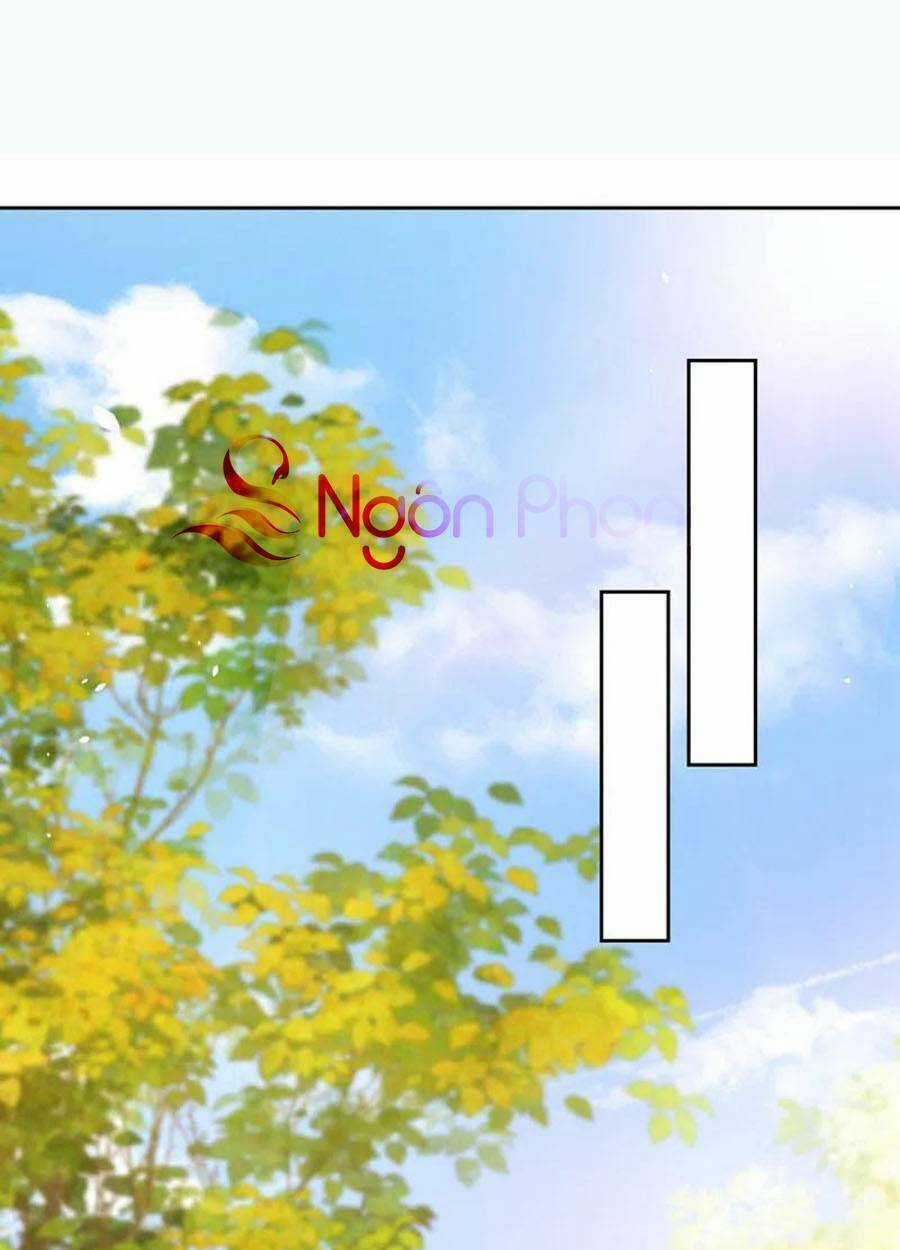 Hôm Nay Từ Chối Lục Tiên Sinh Chưa? Chapter 83 trang 1