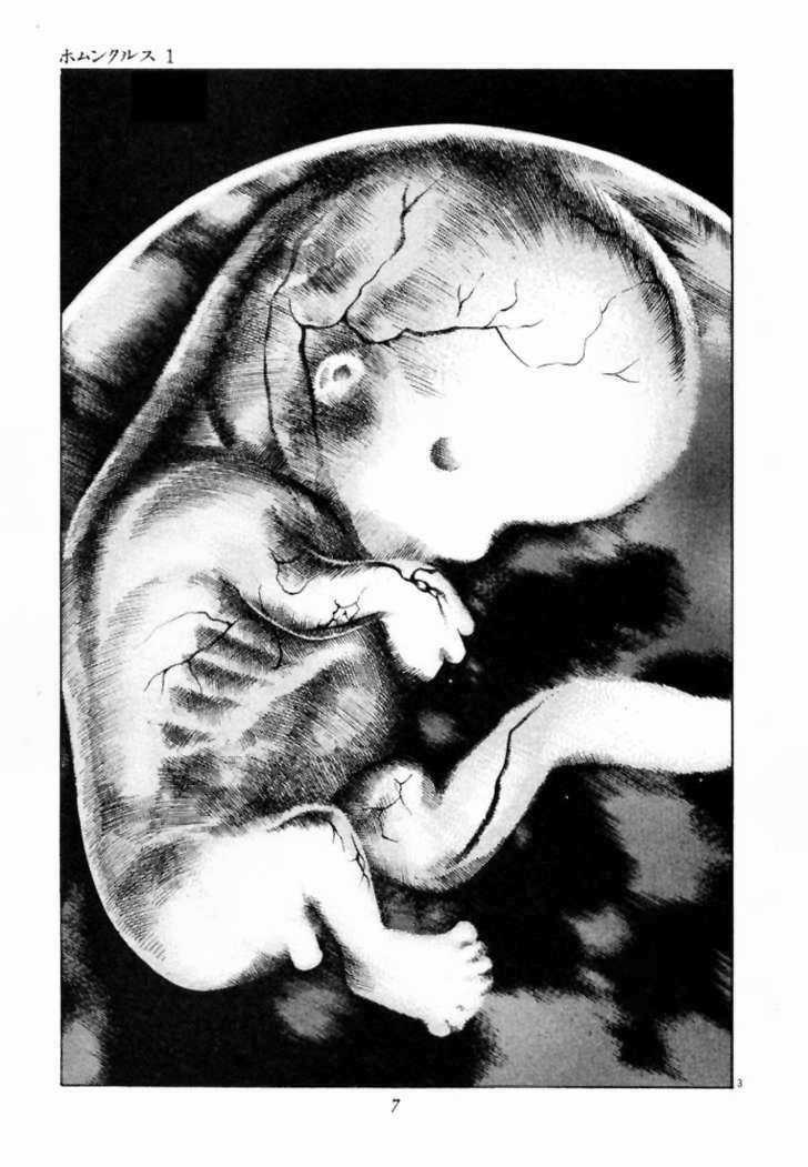 Homunculus Chapter 1 trang 6