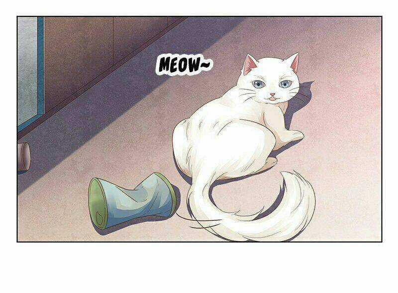 Hôn Bất Do Kỷ Chapter 50 trang 19