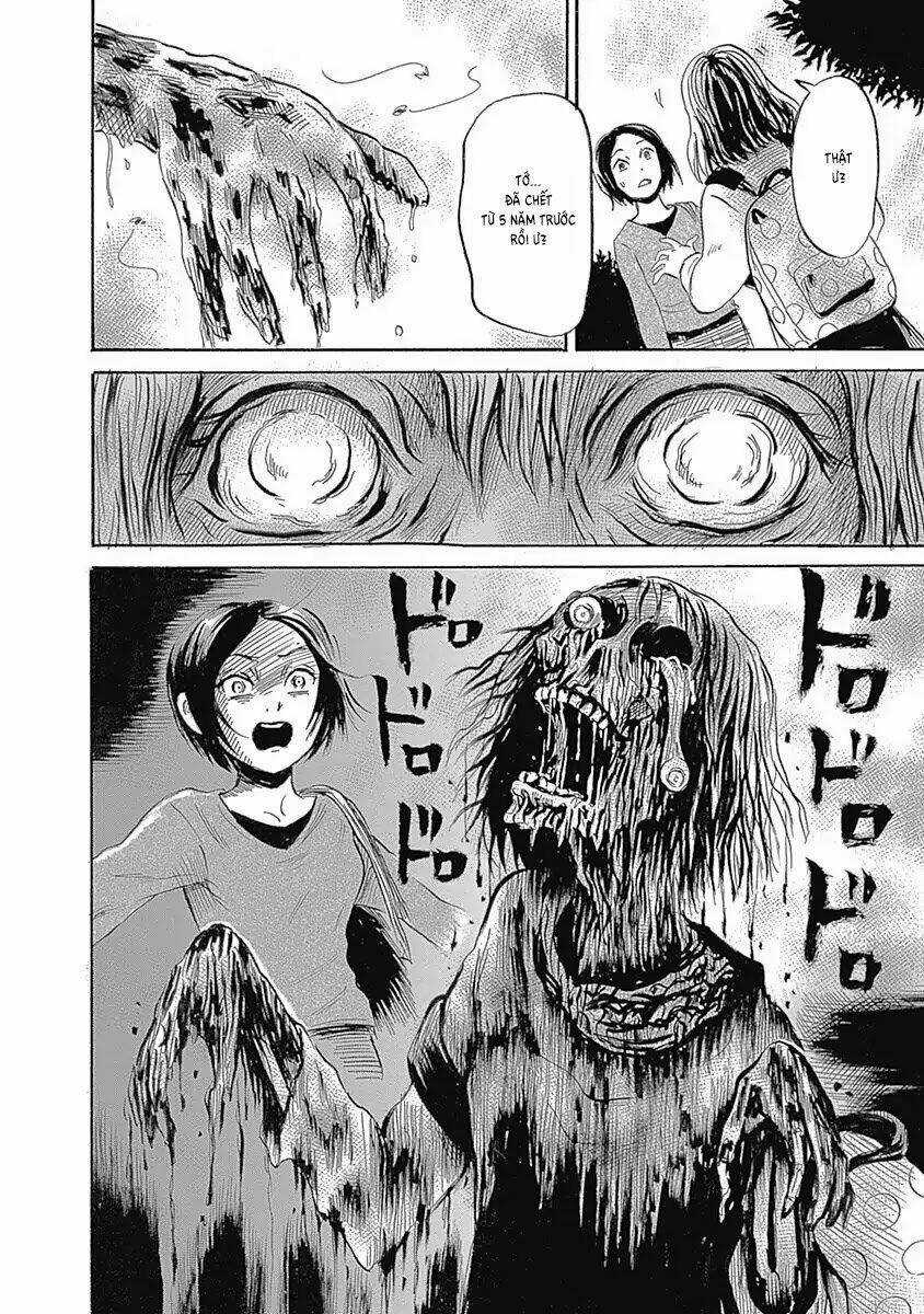 Hơn Cả Một Giấc Mơ Tồi Tệ... Chapter 4 trang 13