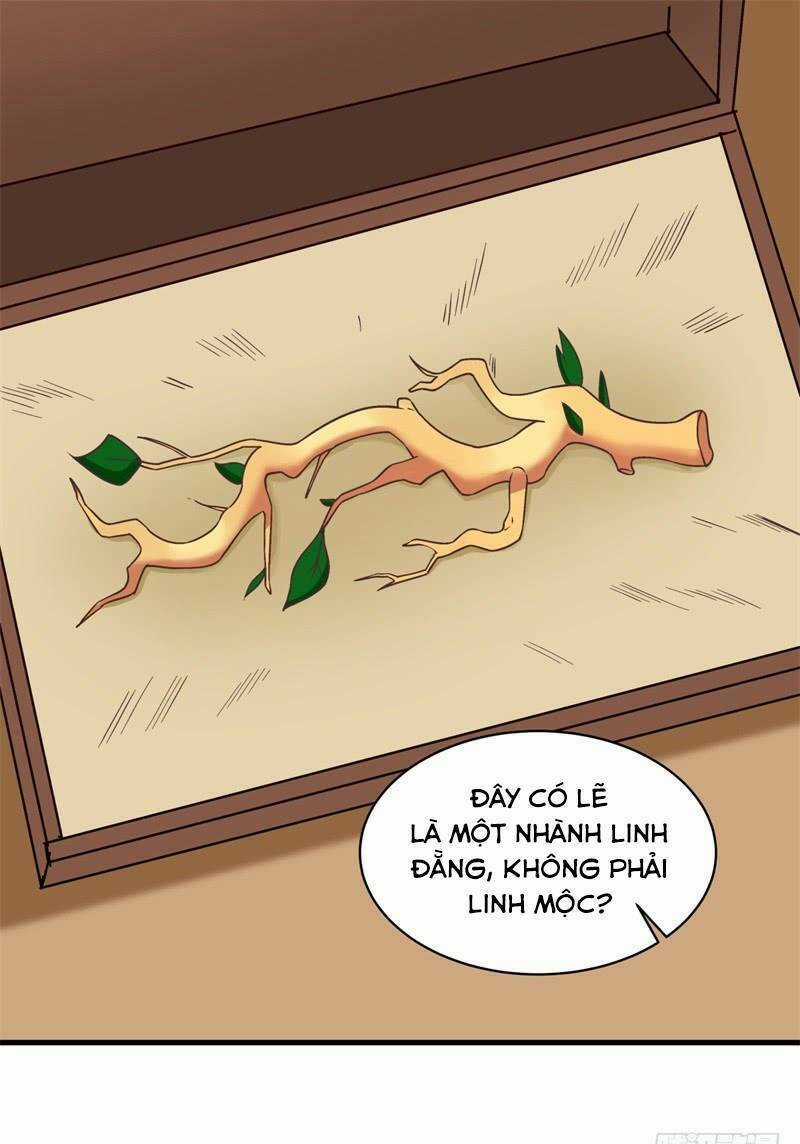 Hỗn Độn Đan Thần Chapter 21 trang 18