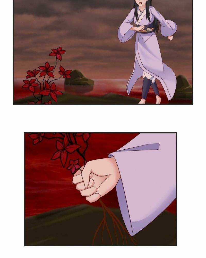 Hỗn Độn Đan Thần Chapter 43 trang 15