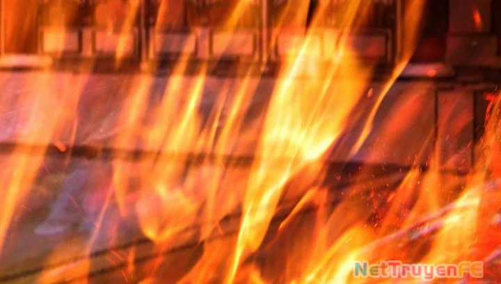 Hỗn Độn Đan Thần Chapter 445 trang 13