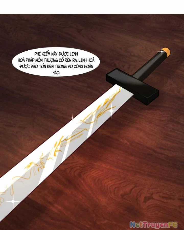 Hỗn Độn Đan Thần Chapter 447 trang 12