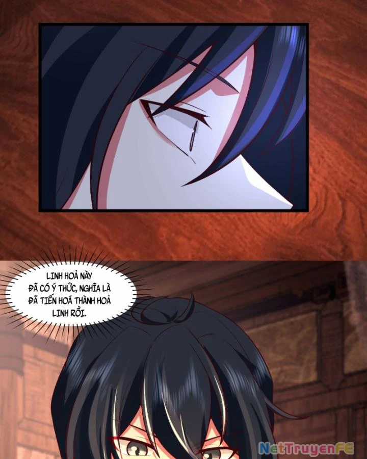 Hỗn Độn Đan Thần Chapter 447 trang 13