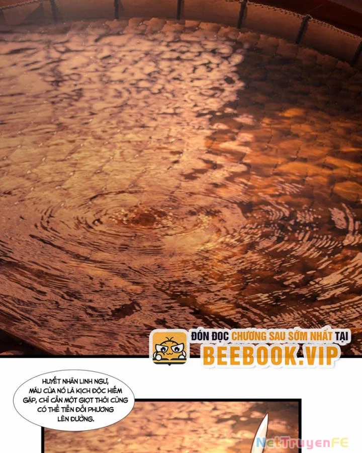 Hỗn Độn Đan Thần Chapter 447 trang 17