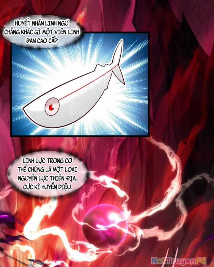 Hỗn Độn Đan Thần Chapter 447 trang 22