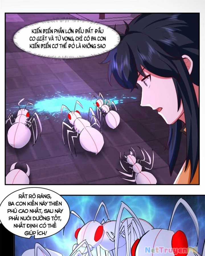 Hỗn Độn Đan Thần Chapter 450 trang 11