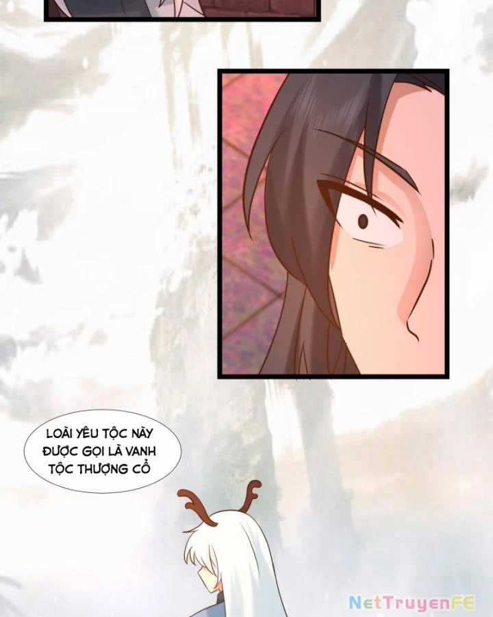 Hỗn Độn Đan Thần Chapter 466 trang 5