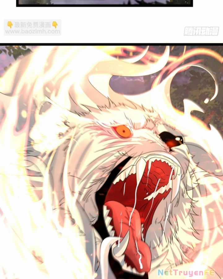 Hỗn Độn Đan Thần Chapter 477 trang 14