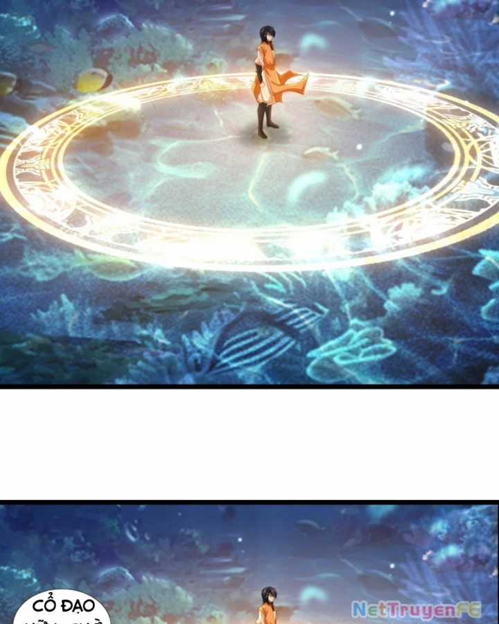 Hỗn Độn Đan Thần Chapter 478 trang 14