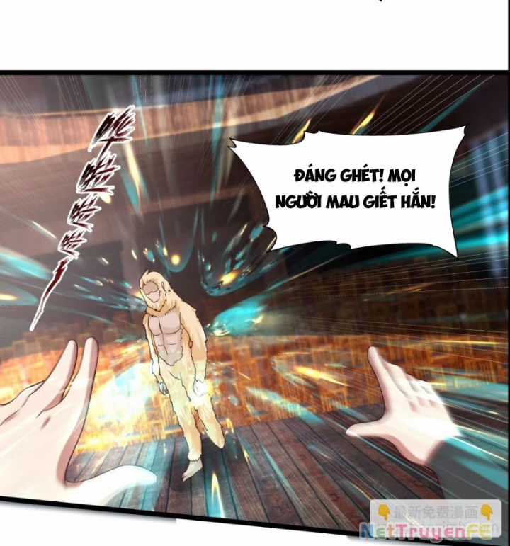 Hỗn Độn Đan Thần Chapter 484 trang 14