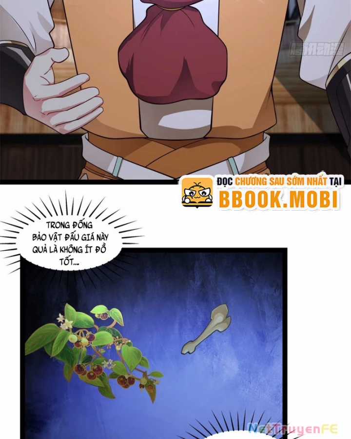 Hỗn Độn Đan Thần Chapter 485 trang 12
