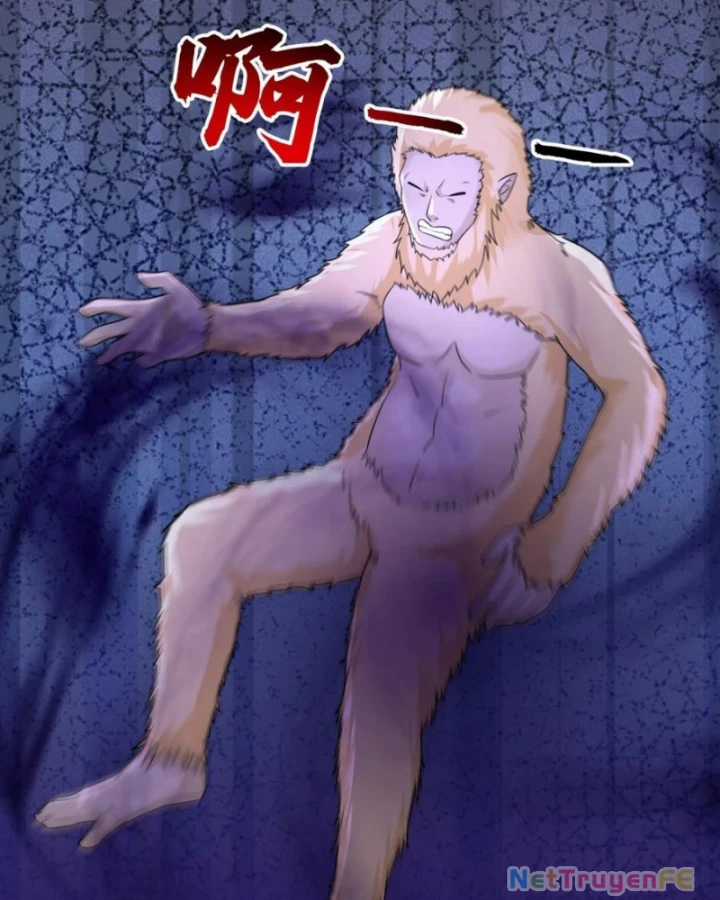 Hỗn Độn Đan Thần Chapter 492 trang 30