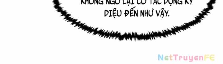 Hỗn Độn Đan Thần Chapter 493 trang 33