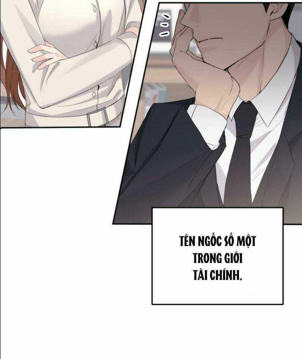 Hôn Nhân Hoàn Hảo Chapter 3 trang 46