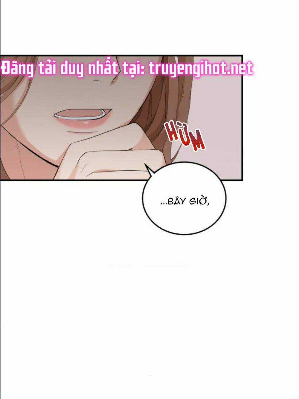 Hôn Nhân Hoàn Hảo Chapter 8.1 trang 29