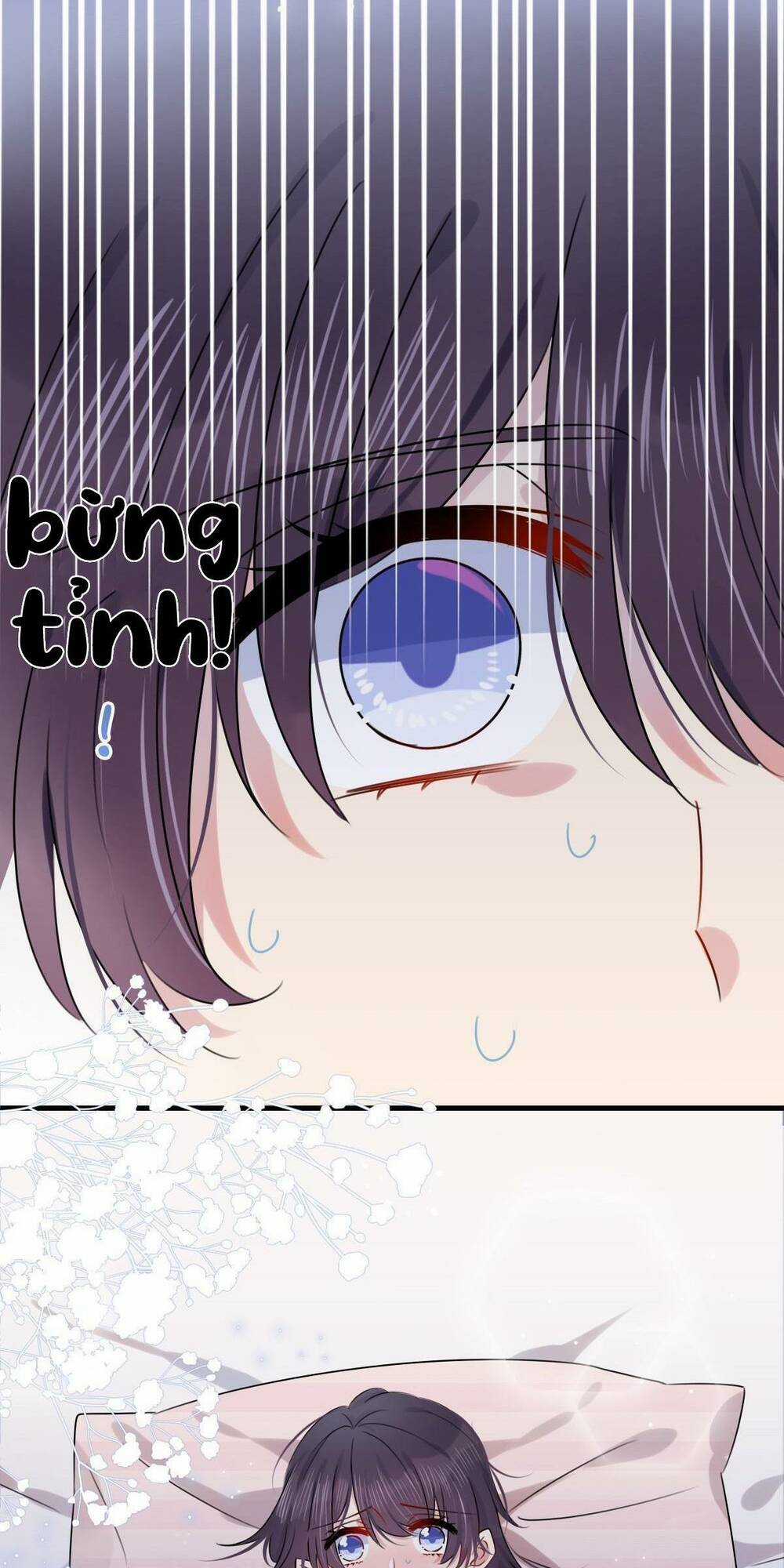 Hôn Nhân Hợp Đồng: Kết Hôn Với Thanh Mai Xảo Quyệt Chapter 1 trang 3