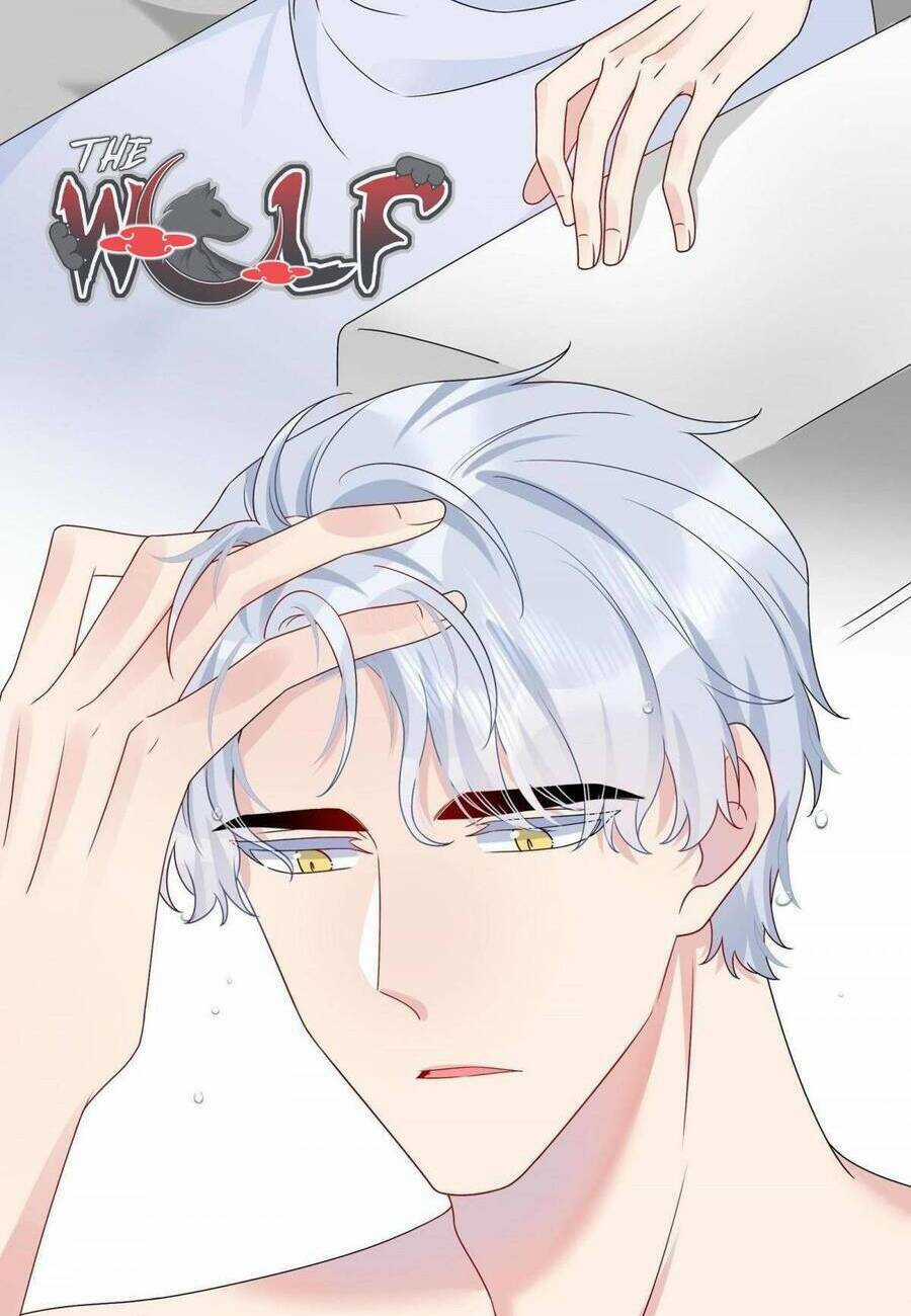 Hôn Nhân Hợp Đồng: Kết Hôn Với Thanh Mai Xảo Quyệt Chapter 15 trang 4