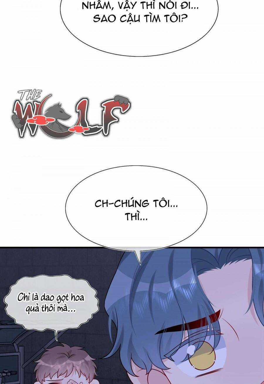 Hôn Nhân Hợp Đồng: Kết Hôn Với Thanh Mai Xảo Quyệt Chapter 16 trang 32