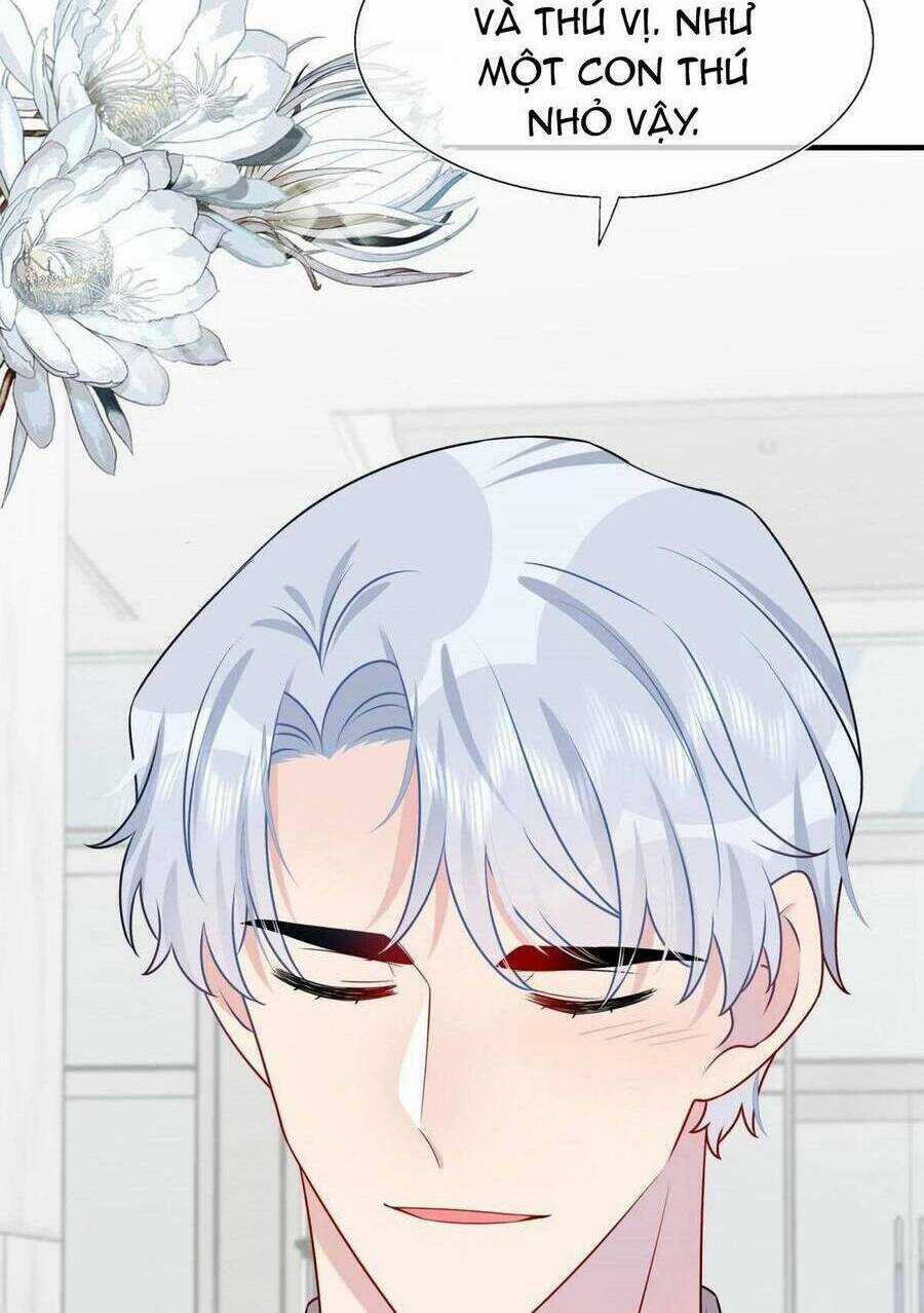 Hôn Nhân Hợp Đồng: Kết Hôn Với Thanh Mai Xảo Quyệt Chapter 17 trang 13