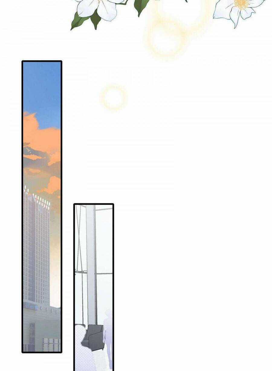 Hôn Nhân Hợp Đồng: Kết Hôn Với Thanh Mai Xảo Quyệt Chapter 18 trang 15